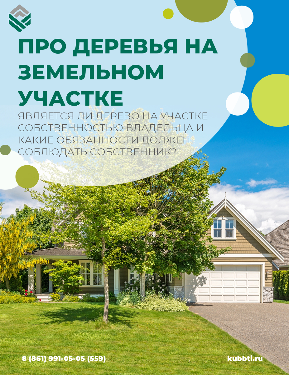 Про деревья на земельном участке